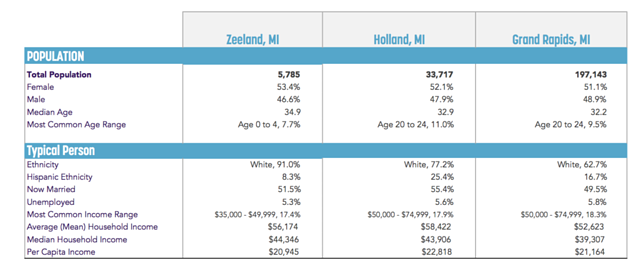 market insight report 
