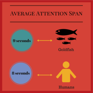 Average Attention Span